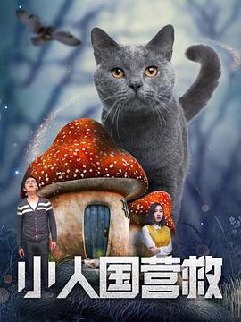 成年人免费在线视频