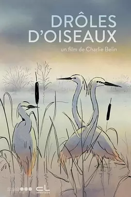 秋霞鲁斯