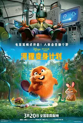如何找到当地的字母圈