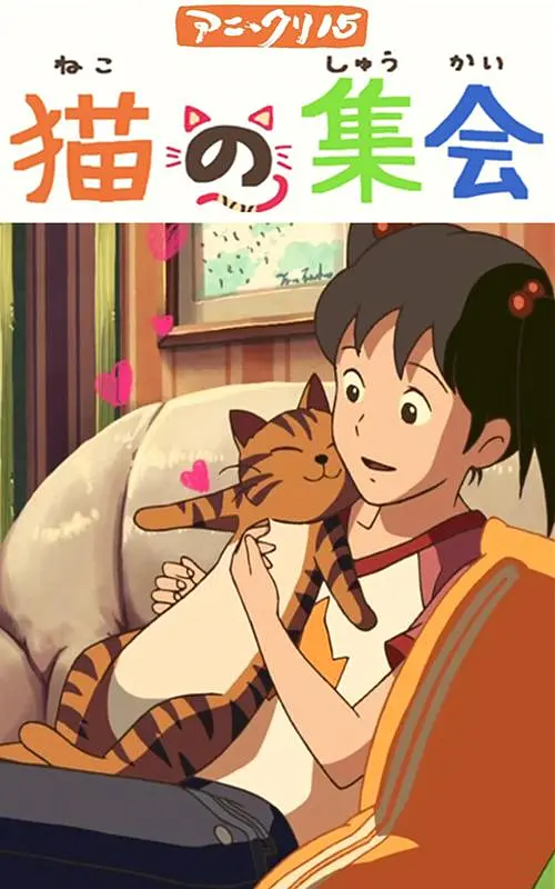 日本视频中文字幕一区二区