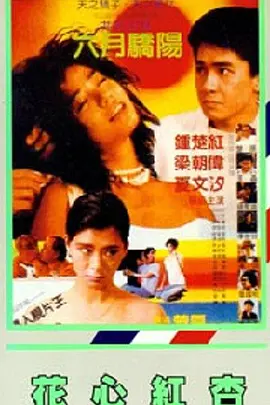 爱，还是不爱