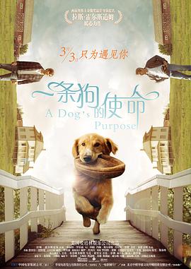 混血的人妻