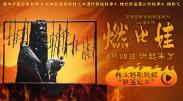 久久精品国产清高在天天线