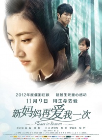 视频福利一区