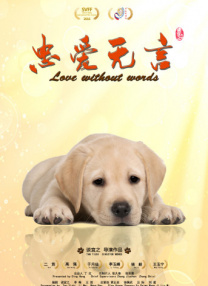 chinadance广场舞外网