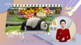 欧美在线a