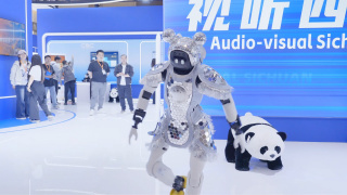 亚洲国产精品区